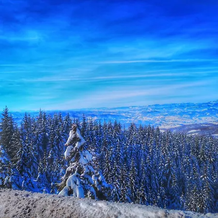 Iznad Oblaka Apartman 8 Kopaonik Exterior foto